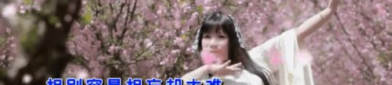 网红邱洪,从网红到创业明星的蜕变之路